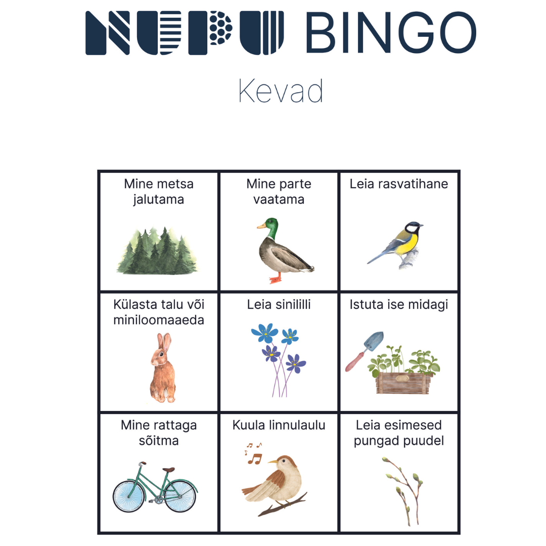 Bingo Kevad Nupu Arendavad M Nguasjad Lastele